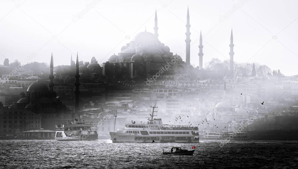 istanbul city and landscape / Turkey