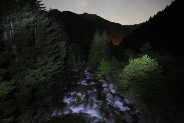 Türkiye'nin Karadeniz bölgesinde sisin altında nehir üzerinde eski tarihi taş köprü. Senyuva'da tarihi Osmanlı köprüsü Taşköprü, Ermenice Cinciva, Rize'de Çamlıhemşin yakınlarındaki Firtina nehri üzerinde