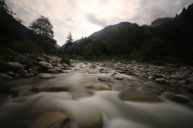 Türkiye'nin Karadeniz bölgesinde sisin altında nehir üzerinde eski tarihi taş köprü. Senyuva'da tarihi Osmanlı köprüsü Taşköprü, Ermenice Cinciva, Rize'de Çamlıhemşin yakınlarındaki Firtina nehri üzerinde