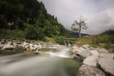 Türkiye'nin Karadeniz bölgesinde sisin altında nehir üzerinde eski tarihi taş köprü. Senyuva'da tarihi Osmanlı köprüsü Taşköprü, Ermenice Cinciva, Rize'de Çamlıhemşin yakınlarındaki Firtina nehri üzerinde