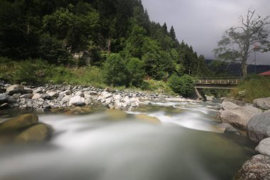 Türkiye'nin Karadeniz bölgesinde sisin altında nehir üzerinde eski tarihi taş köprü. Senyuva'da tarihi Osmanlı köprüsü Taşköprü, Ermenice Cinciva, Rize'de Çamlıhemşin yakınlarındaki Firtina nehri üzerinde