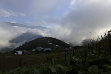 Rize'nin Pokut Yaylası'nda köy evleri, bulutlar ve yeşil çimenler. Karadeniz Bölgesi.