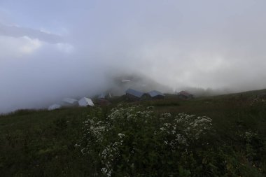 Rize'nin Pokut Yaylası'nda köy evleri, bulutlar ve yeşil çimenler. Karadeniz Bölgesi.