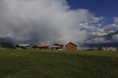 Pokut Platosu Rize Camlihemsin, Pokut Platosu Karadeniz ve Türkiye. Rize, Türkiye.