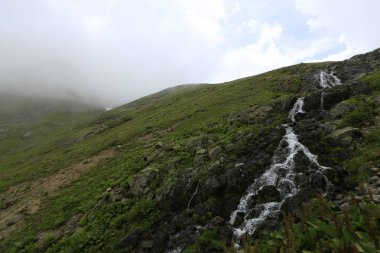 Karadeniz, Rize Ambarli Platosu, Türkiye, View