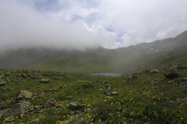 Karadeniz, Rize Ambarli Platosu, Türkiye, View