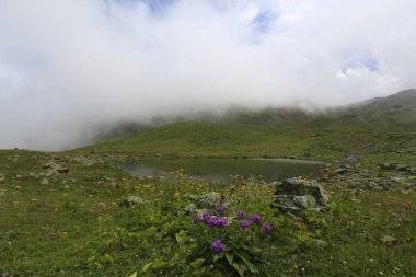 Karadeniz, Rize Ambarli Platosu, Türkiye, View