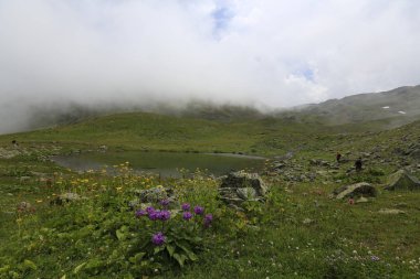 Karadeniz, Rize Ambarli Platosu, Türkiye, View