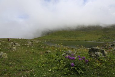 Karadeniz, Rize Ambarli Platosu, Türkiye, View
