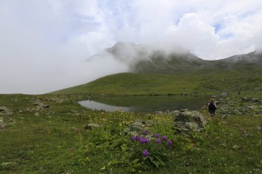 Karadeniz, Rize Ambarli Platosu, Türkiye, View