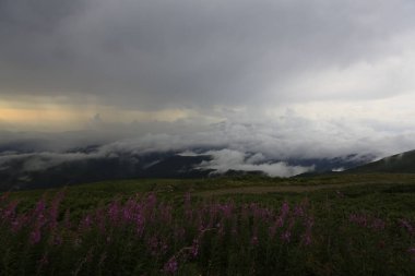 Kaçkar dağlarında Ambarlı yaylasının panoramik manzarası, Karadeniz, Rize, Türkiye