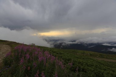 Kaçkar dağlarında Ambarlı yaylasının panoramik manzarası, Karadeniz, Rize, Türkiye