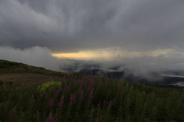 Kaçkar dağlarında Ambarlı yaylasının panoramik manzarası, Karadeniz, Rize, Türkiye