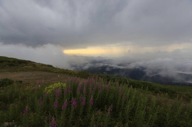 Kaçkar dağlarında Ambarlı yaylasının panoramik manzarası, Karadeniz, Rize, Türkiye