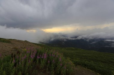 Kaçkar dağlarında Ambarlı yaylasının panoramik manzarası, Karadeniz, Rize, Türkiye
