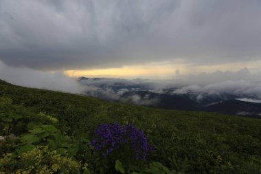 Kaçkar dağlarında Ambarlı yaylasının panoramik manzarası, Karadeniz, Rize, Türkiye