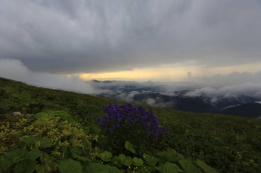 Kaçkar dağlarında Ambarlı yaylasının panoramik manzarası, Karadeniz, Rize, Türkiye