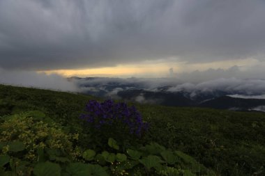 Kaçkar dağlarında Ambarlı yaylasının panoramik manzarası, Karadeniz, Rize, Türkiye