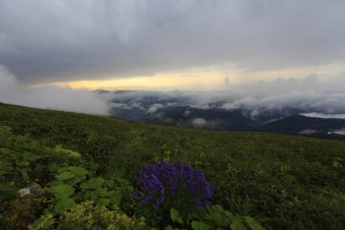 Kaçkar dağlarında Ambarlı yaylasının panoramik manzarası, Karadeniz, Rize, Türkiye