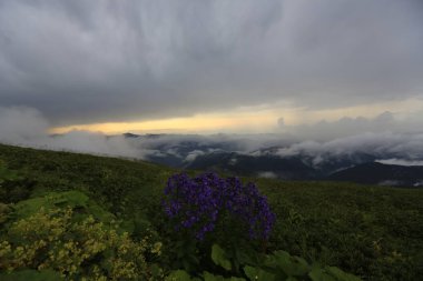 Kaçkar dağlarında Ambarlı yaylasının panoramik manzarası, Karadeniz, Rize, Türkiye