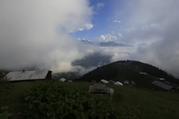 Casas Aldeia Nuvens Grama Verde Pokut Highland Rize Turquia Região — Fotografia de Stock
