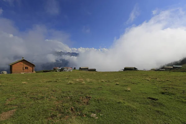 Maisons Village Nuages Herbe Verte Pokut Highland Rize Turquie Région — Photo