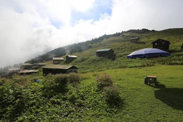 Pokut Fennsík Rize Camlihemsin Pokut Fennsík Fekete Tengeren Törökországban Rize — Stock Fotó