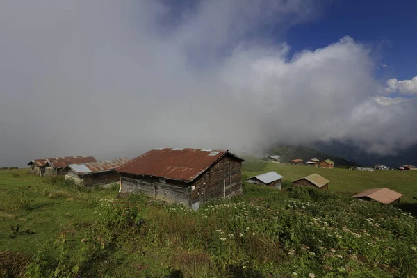 Pokut Plateau Rize Camlihemsin Pokut Plateau Schwarzen Meer Und Der — Stockfoto