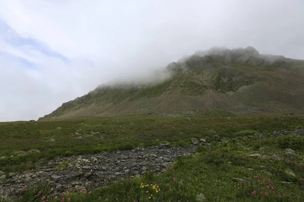 Karadeniz Rize Ambarli Platosu Türkiye View — Stok fotoğraf