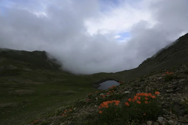 Μαύρη Θάλασσα Rize Ambarli Plateau Τουρκία Θέα — Φωτογραφία Αρχείου