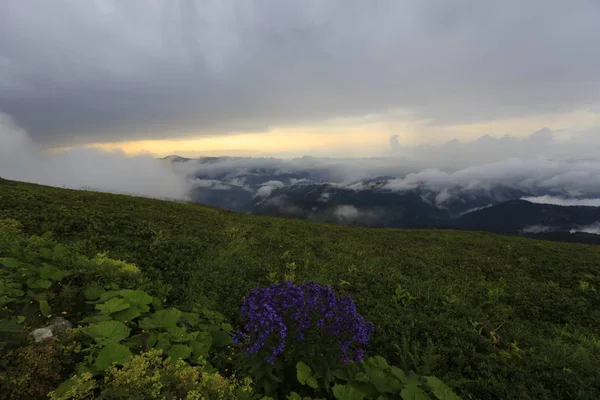 Panoramisch Uitzicht Het Ambarli Plateau Kackar Mountains Zwarte Zee Rize — Stockfoto