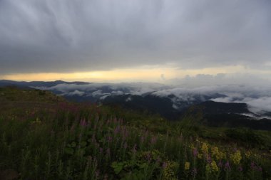 Kaçkar dağlarında Ambarlı yaylasının panoramik manzarası, Karadeniz, Rize, Türkiye