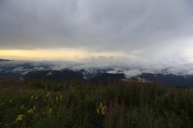 Kaçkar dağlarında Ambarlı yaylasının panoramik manzarası, Karadeniz, Rize, Türkiye