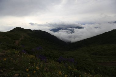 Kaçkar dağlarında Ambarlı yaylasının panoramik manzarası, Karadeniz, Rize, Türkiye