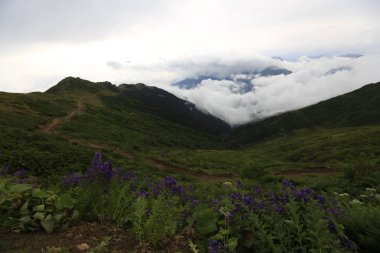 Kaçkar dağlarında Ambarlı yaylasının panoramik manzarası, Karadeniz, Rize, Türkiye