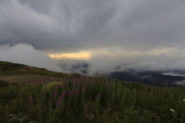 Kaçkar dağlarında Ambarlı yaylasının panoramik manzarası, Karadeniz, Rize, Türkiye