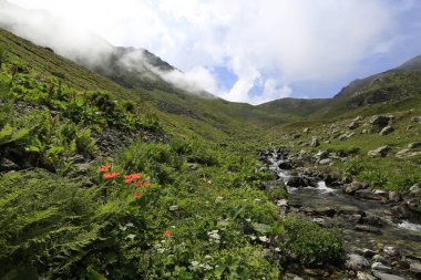 Kaçkar dağlarında Ambarlı yaylasının panoramik manzarası, Karadeniz, Rize, Türkiye