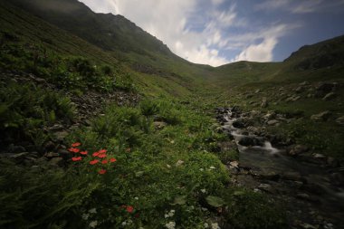 Kaçkar dağlarında Ambarlı yaylasının panoramik manzarası, Karadeniz, Rize, Türkiye