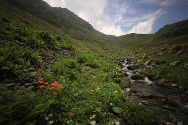 Kaçkar dağlarında Ambarlı yaylasının panoramik manzarası, Karadeniz, Rize, Türkiye