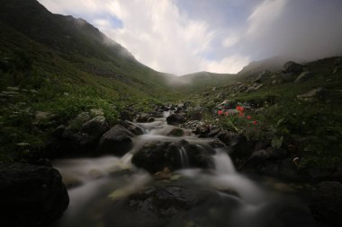 Kaçkar dağlarında Ambarlı yaylasının panoramik manzarası, Karadeniz, Rize, Türkiye