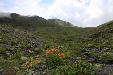 Kaçkar dağlarında Ambarlı yaylasının panoramik manzarası, Karadeniz, Rize, Türkiye