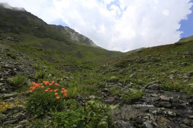 Kaçkar dağlarında Ambarlı yaylasının panoramik manzarası, Karadeniz, Rize, Türkiye