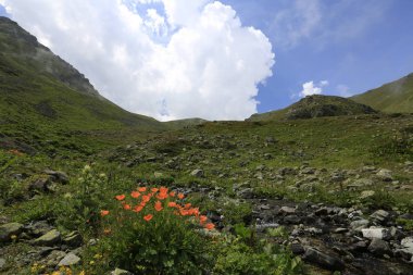 Kaçkar dağlarında Ambarlı yaylasının panoramik manzarası, Karadeniz, Rize, Türkiye
