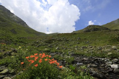 Kaçkar dağlarında Ambarlı yaylasının panoramik manzarası, Karadeniz, Rize, Türkiye