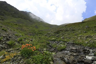 Kaçkar dağlarında Ambarlı yaylasının panoramik manzarası, Karadeniz, Rize, Türkiye