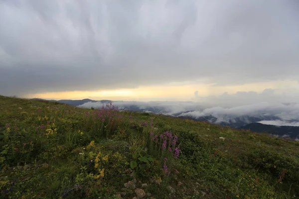 Panoramablick Auf Das Ambarli Plateau Kackar Gebirge Schwarzes Meer Rize — Stockfoto