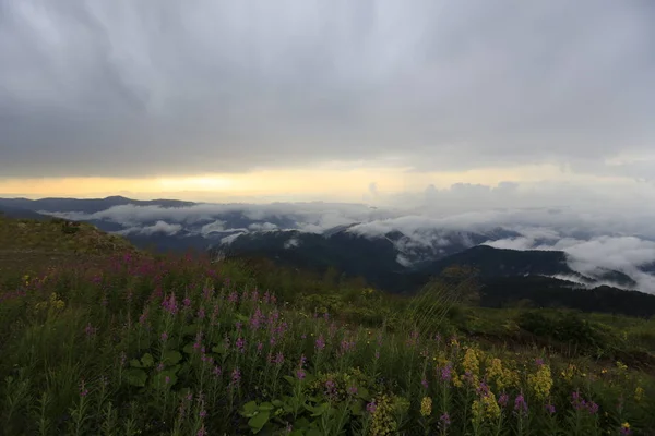 Panoramablick Auf Das Ambarli Plateau Kackar Gebirge Schwarzes Meer Rize — Stockfoto