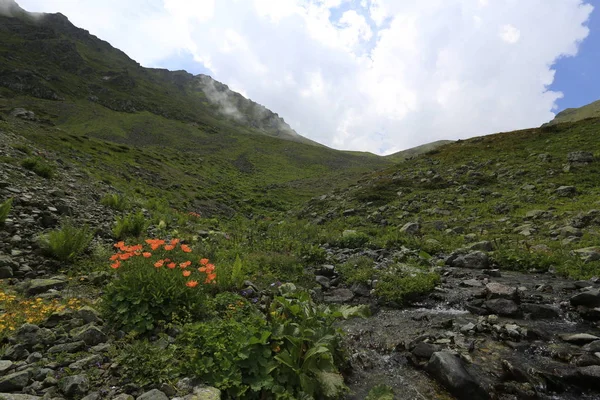 Kaçkar dağlarında Ambarlı yaylasının panoramik manzarası, Karadeniz, Rize, Türkiye