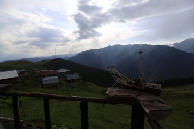 Sis Gito Platosu'na geldi. Sis ve büyükbaş hayvanların manzara fotoğrafı, Rize, Türkiye'nin kuzeydoğusu