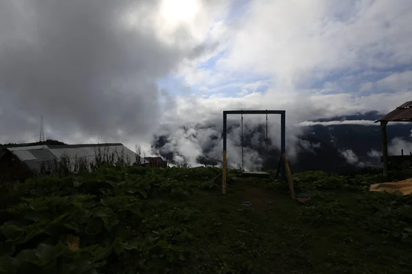 Landschaftsbild Von Holzhäusern Und Nebel Der Gito Plateau Rize Nordosttürkei — Stockfoto